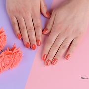 Secret Butterfly Nails & Beauty logo