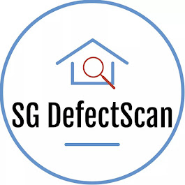SG DefectScan Pte Ltd logo