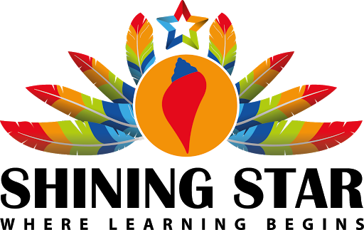 Shining Star Education Training LLC logo