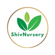 Shiv Nursery logo