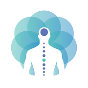 Singapore Brain and Spine Specialist Singapore Brain-Spine-Nerves Center logo
