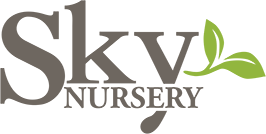 Sky Nursery logo