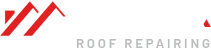 Smart Line water proofing logo