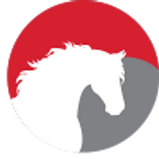 Southern Riding Centre logo
