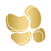 Spa Dental Sydney CBD logo