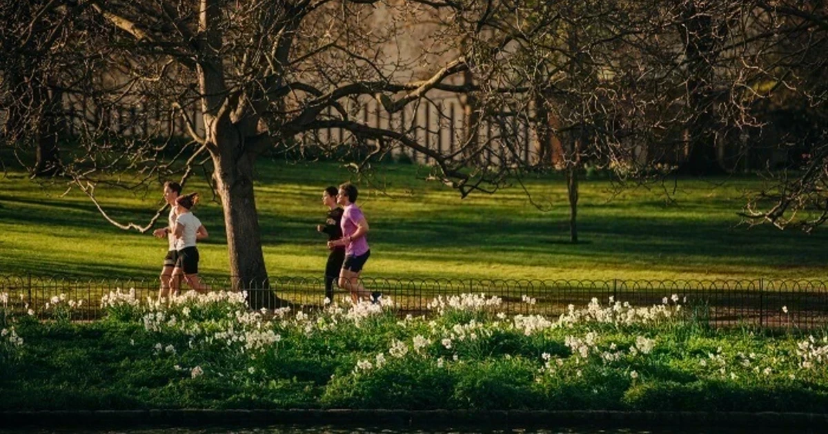 St James's Park logo