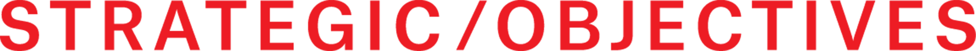 Strategic Objectives logo