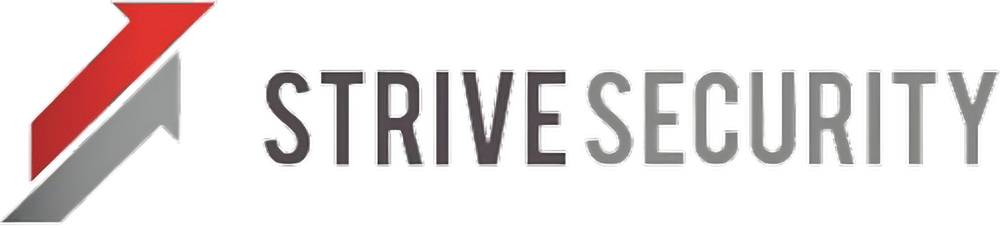 Strive Security Pte Ltd logo