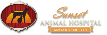 Sunset Animal Hospital logo