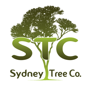 Sydney Tree Company logo