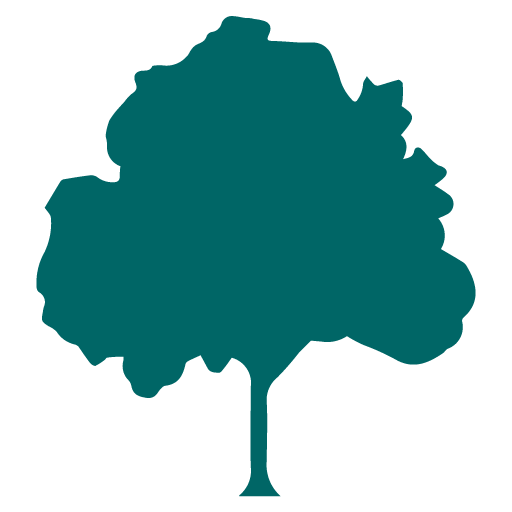 Tembusu Law LLC logo