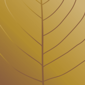 Thai Square Spa logo