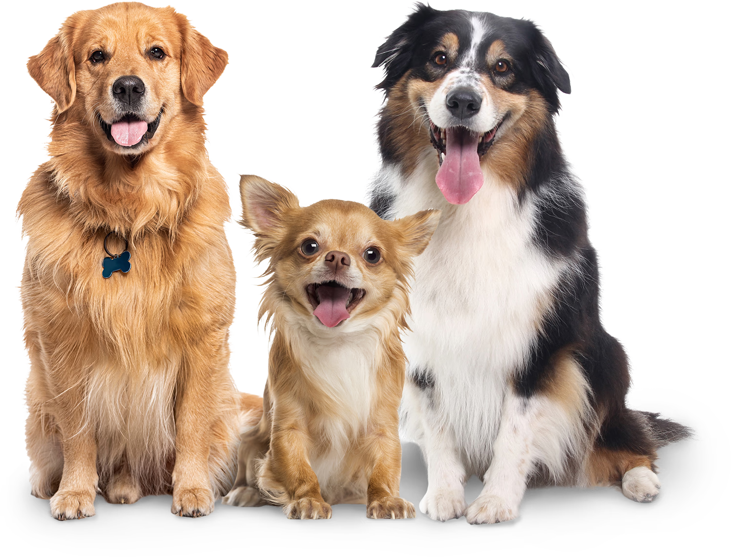 The Barking Lot | Al Quoz logo