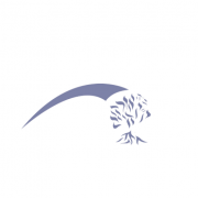 The Central Synagogue logo