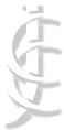 The Country Club Johannesburg, Auckland Park logo
