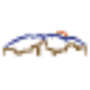 The Dinelli Law Firm, LLC logo