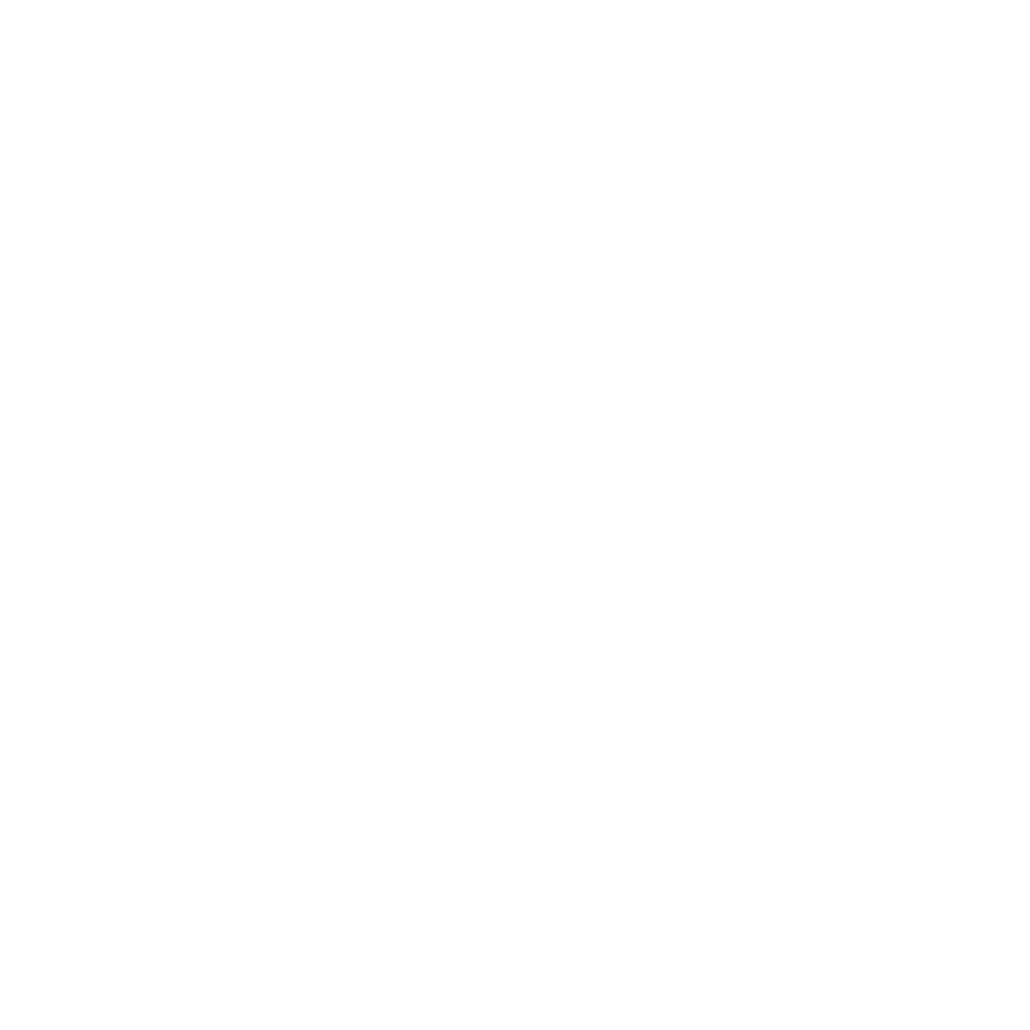 The Food Dudes logo