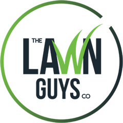 The Lawn Guys | Sydney's Premium Lawn Specialists logo