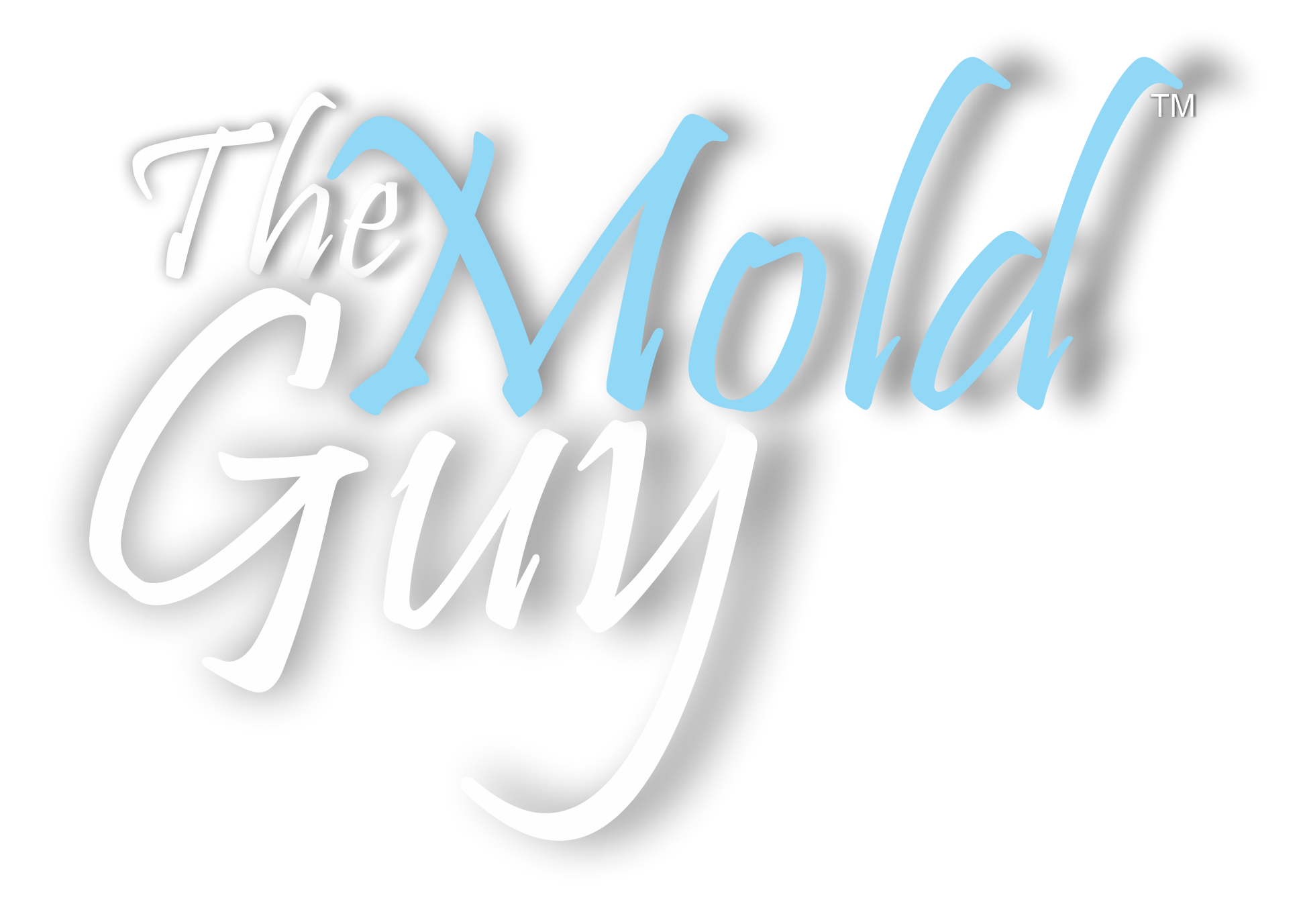 The Mold Guy logo