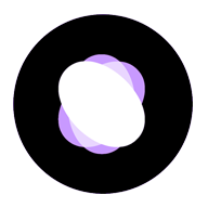 The Pole Experience Dance Fitness Studio logo