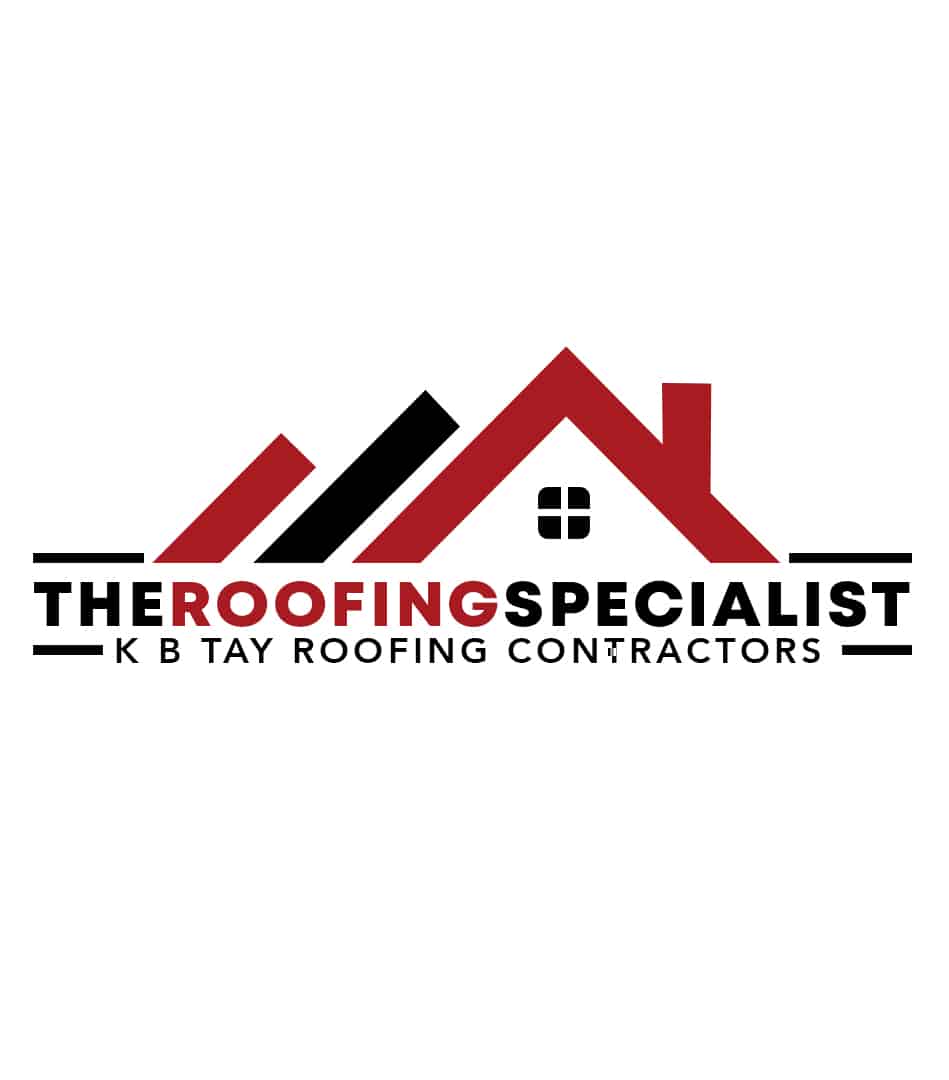 THE ROOFING SPECIALIST PTE LTD logo