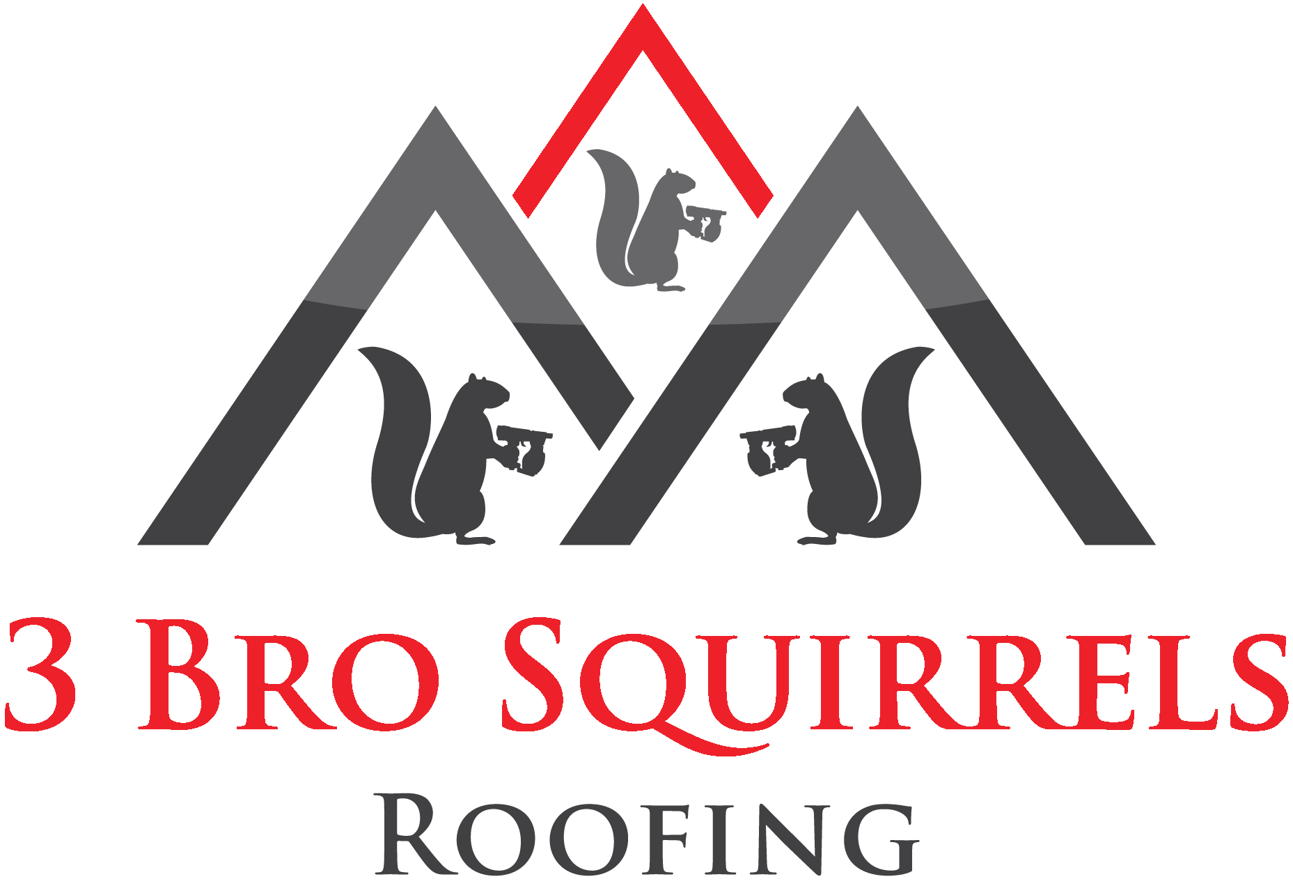 Three Bro Squirrels Roofing logo