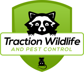 Traction Wildlife and Pest Control logo