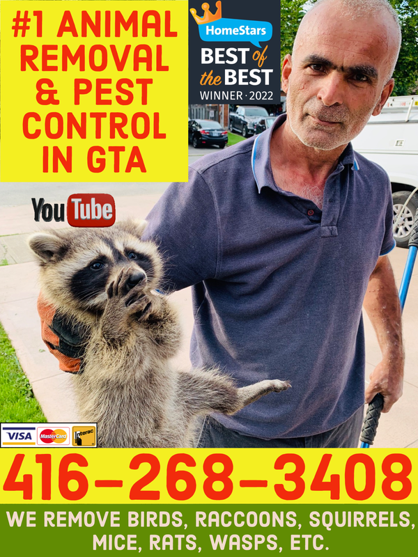 TSR Pest Control and Wildlife Removal Toronto logo