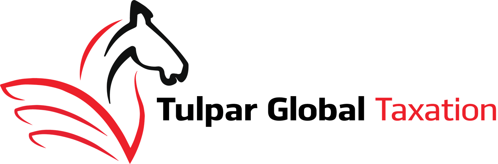 Tulpar Global Taxation logo