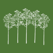 Two Creeks Track logo