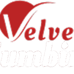 Velvet Plumbing logo