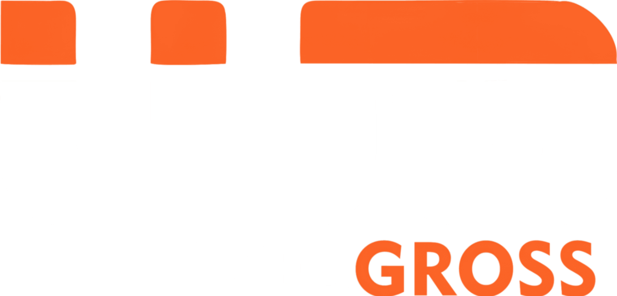Webgross - Digital Marketing Agency in Delhi logo