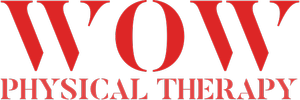 Wellness of Wall Street Physical Therapy logo