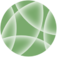 WholeHealth Chicago logo