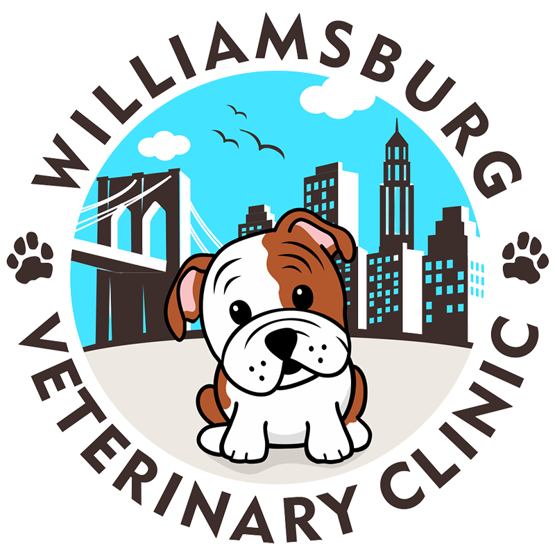 Williamsburg Veterinary Clinic logo