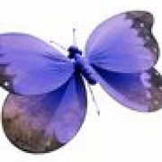 Winnie Chiu Psychologist, Psychotherapist logo