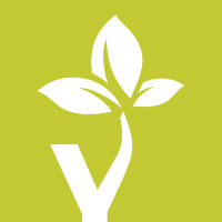 Yoga Tree Richmond Spadina logo