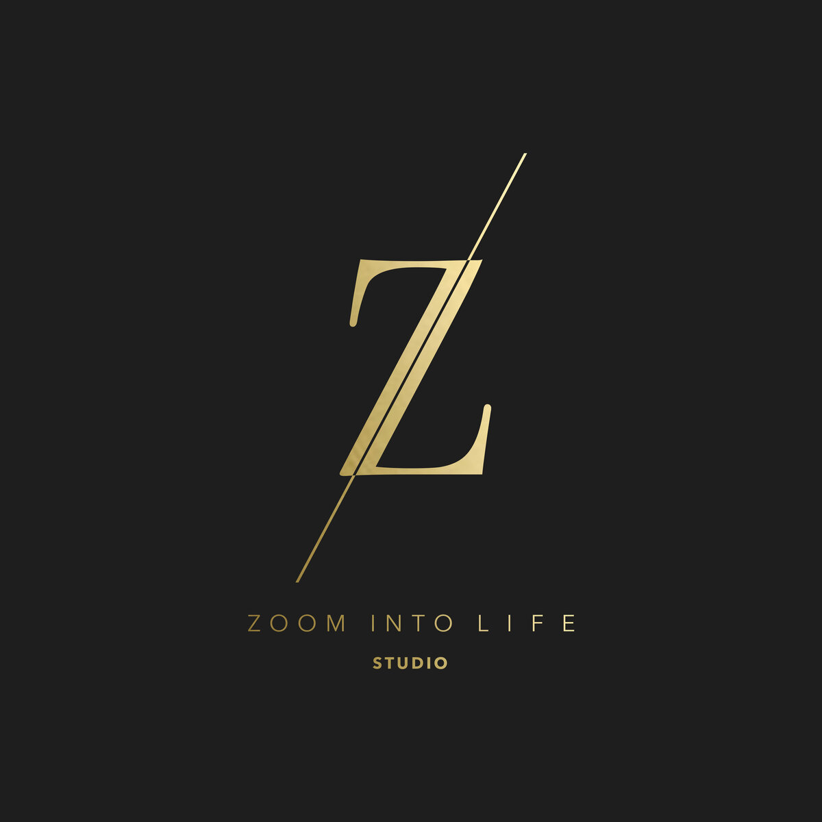 Zoom Into Life Studio Inc. logo